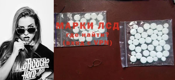 ешки Бородино
