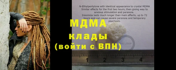 spice Богородицк