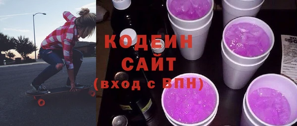 ешки Бородино