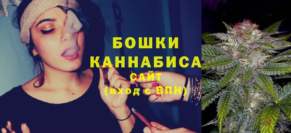 ешки Бородино