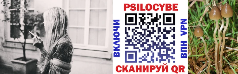 Псилоцибиновые грибы прущие грибы Знаменск